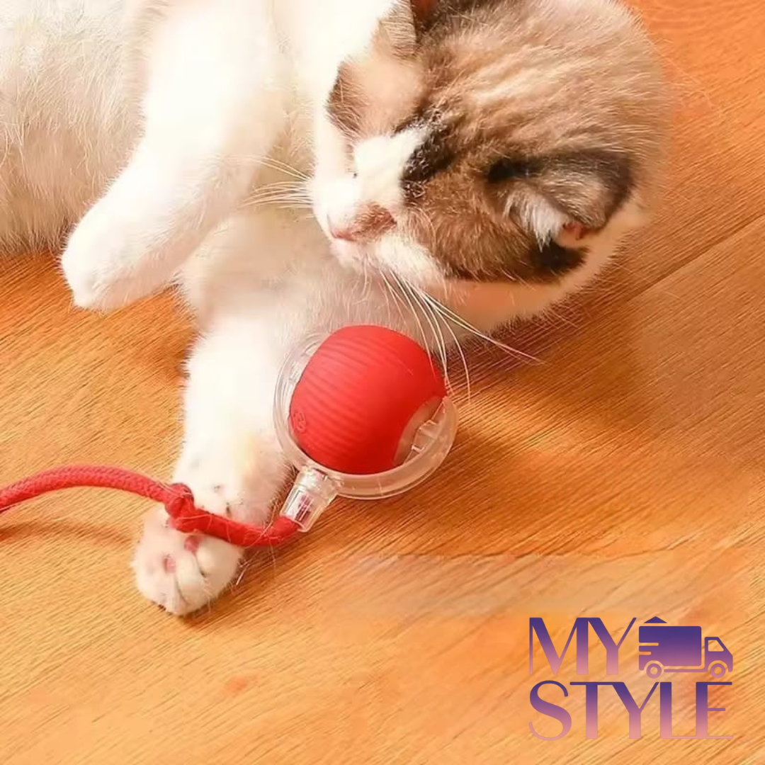 Pelota Interactiva Para Tu Mascota.